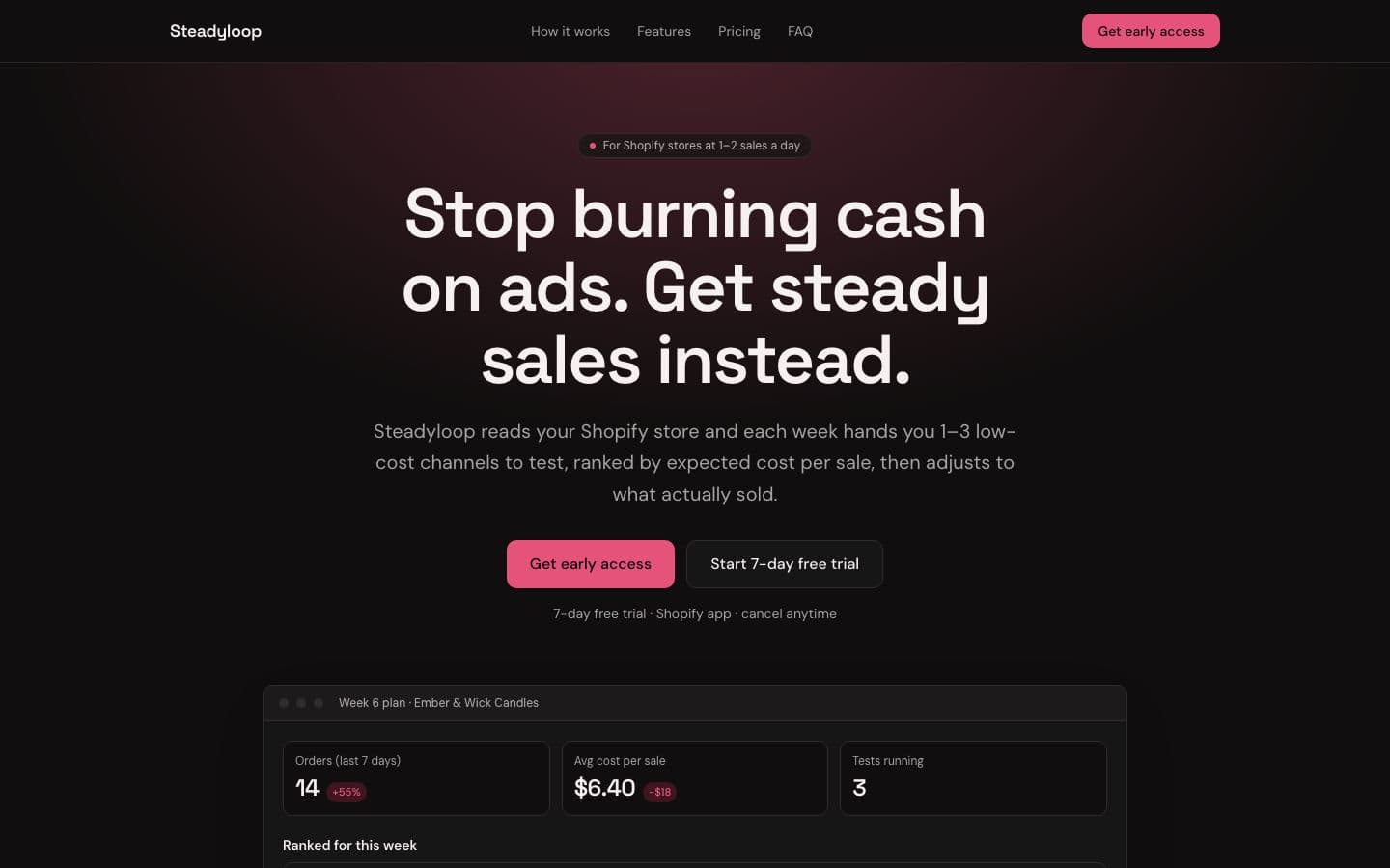 Steadyloop landing page example for the Small Shop Sales Without Ad Burn idea, desktop
