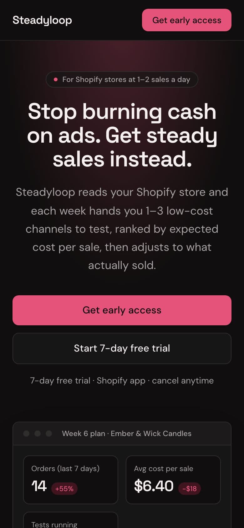 Steadyloop landing page example for the Small Shop Sales Without Ad Burn idea, phone